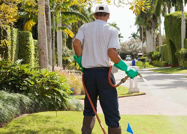 About Sharon CT Pest Control